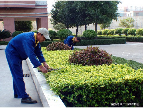 丽水绿化和市容管理局领导班子