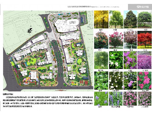 新疆城市绿化变化